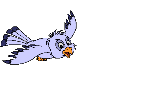 16.gif